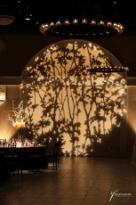 GOBO Washes, 30 Candle Iron Chandelier, and a Table Spotlight
