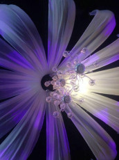 Chiffon Drapery Ceiling Blossom and 12 Light Crystal Chandeliers