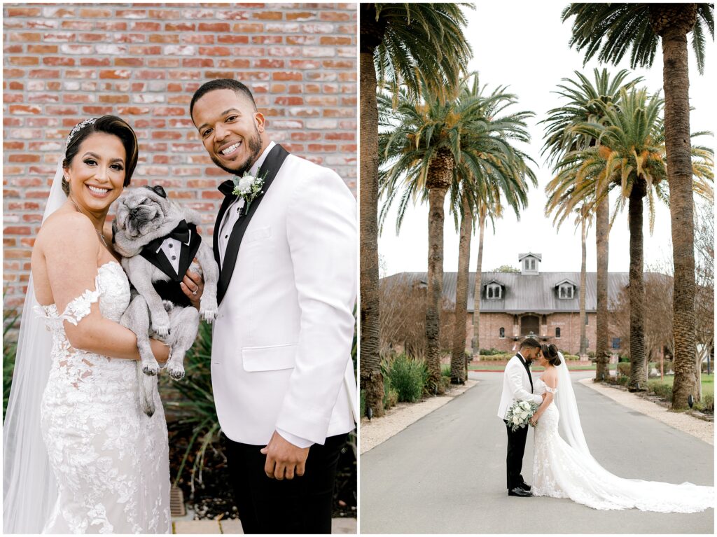 bride and groom with dog