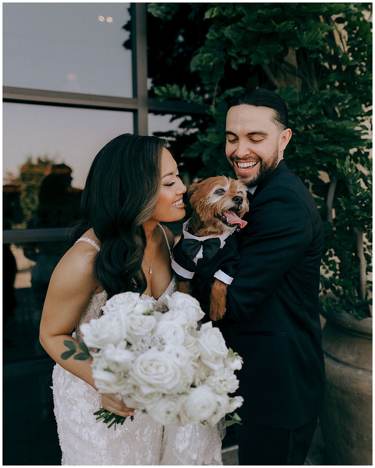bride and groom with their dog 
